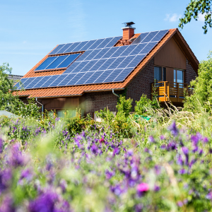 Imagem do produto Planeamento de projetos e venda de sistemas solares, baterias e produtos solares 2