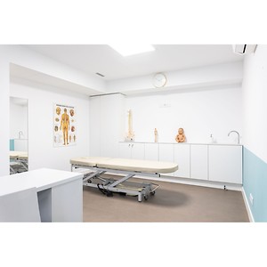 Imagem do produto Osteopatia e Fisioterapia 1