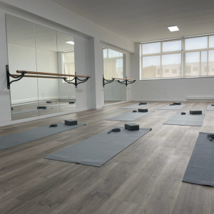 Imagem do produto Reformer Pilates, Mat Pilates, Barre e yoga 4