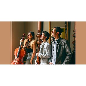 Imagen del producto Música de Cámara con el extraordinario TRÍO RODIN en el Ateneo de Madrid 1