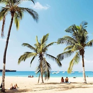 Imagem do produto Reserve online excursões, atrações e atividades em todo o mundo 1
