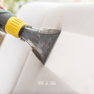Imagem do produto Excelência na Limpeza, Higienização e Impermeabilização de Estofos. 1
