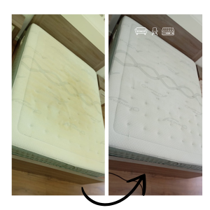 Imagem do produto Excelência na Limpeza, Higienização e Impermeabilização de Estofos. 4