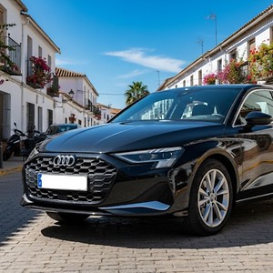 Ibiza, CX-30, A3 Sportback, Clase A, Formentor, ... ¿Cuál es el tuyo?