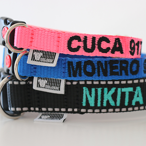 Imagem do produto Crazy About Animals Serious about DOGs 6